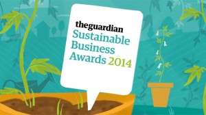 Guardian Sustainable Business Awards - Video